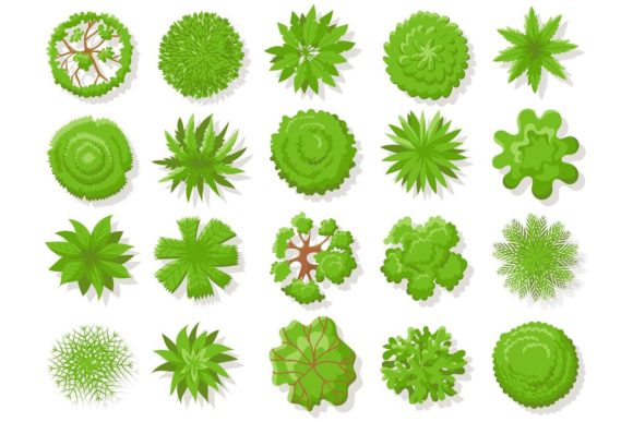 Download Top View Plants - View Collection